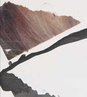 Tjeng Sit Oey - Collage, William kopen? Bied vanaf 40!