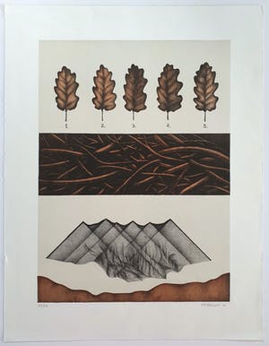 Ana Godel - Litho, Cahiers de Botanique kopen? Bied vanaf 25!