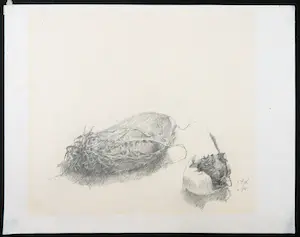 Jo van Dijk - Potloodtekening, Aardappel en ei met roos kopen? Bied vanaf 1!