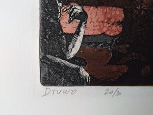 Stanislaw Wejman - druwo kopen? Bied vanaf 80!