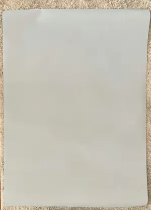 Pierre Alechinsky - Le Pinceau Voyageur - Fondation Boghossian kopen? Bied vanaf 110!