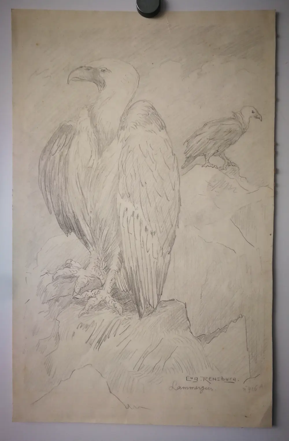 Eugene Rensburg (1872-1956)