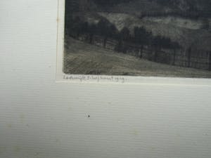 Lodewijk Schelfhout - LES SAPINS /// DROGE NAALD VAN LODEWIJK SCHELFHOUT kopen? Bied vanaf 40!