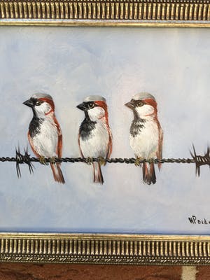 Henk Poeder - Musjes kopen? Bied vanaf 79!