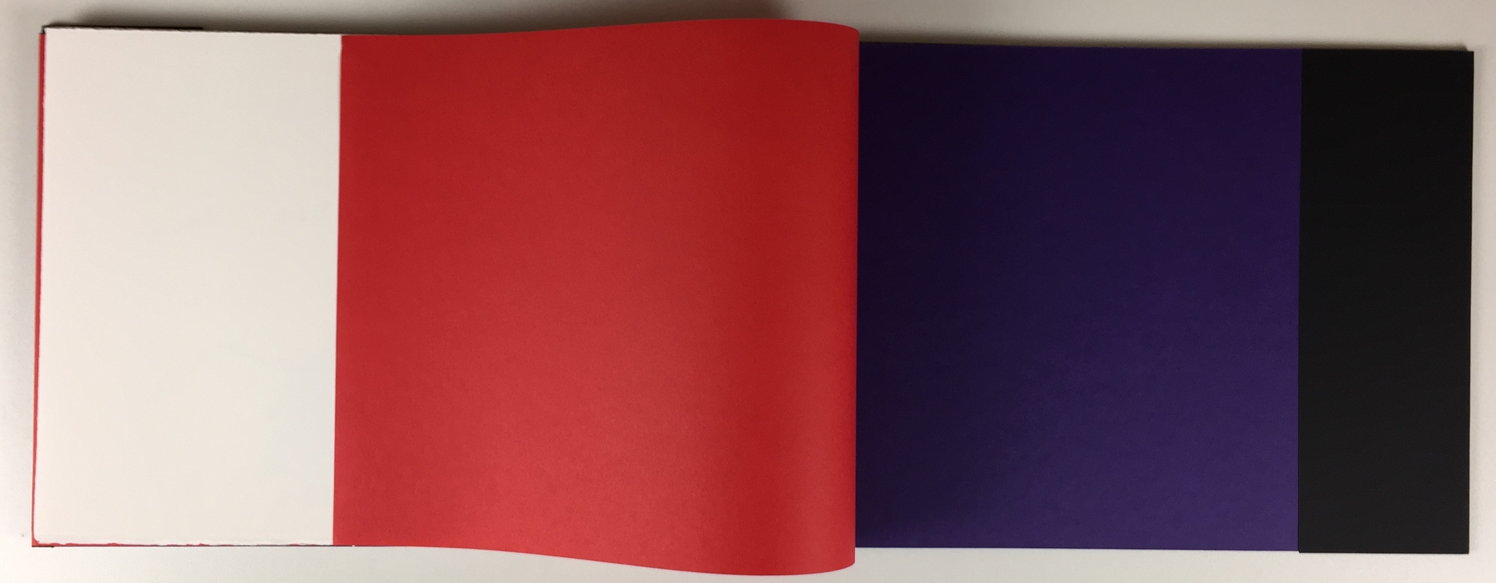 Armando - Portfolio Stichting de Roos, 'Zichzelf', incl. twee litho's 2013 (ZELDZAAM) kopen? Bied vanaf 425!