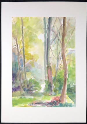 Franscz Witte - aquarel op papier, Boszicht kopen? Bied vanaf 1!