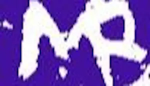 Michiel Brink - Terugtocht kopen? Bied vanaf 40!