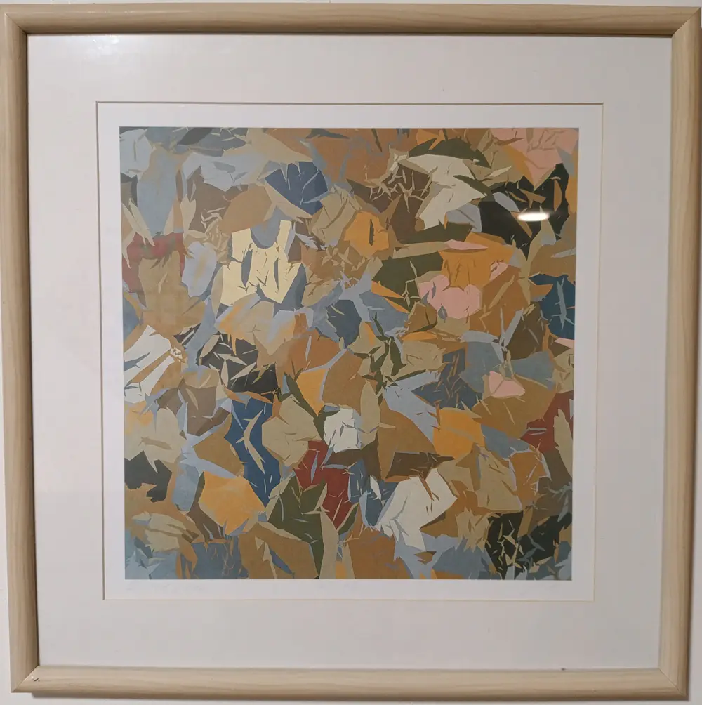 Jasper van der Graaf (1975)