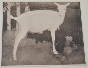 Jan Mankes - 2 heliogravures kopen? Bied vanaf 1!