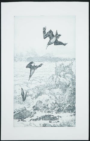 Rins Heidema - Ets, Zeevogel kopen? Bied vanaf 20!