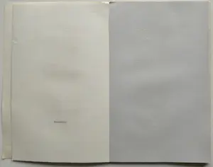 Ivo Damme - 12 houtsneden Ontluistering Marcel Leemans kopen? Bied vanaf 20!