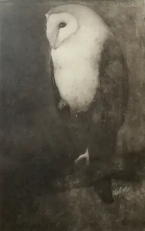 Jan Mankes - Uil op Boomtak kopen? Bied vanaf 90!