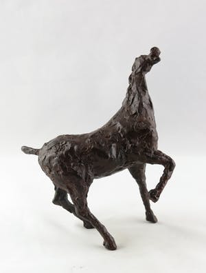 Annette Koek - Brons, Paard kopen? Bied vanaf 350!