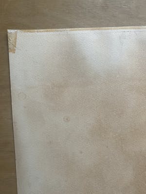 Corneille - Femme, Oiseau et fleur exotique kopen? Bied vanaf 50!