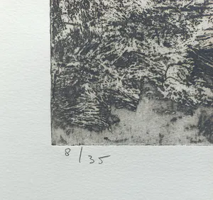 Jan Montyn - Patagonia, Argentina, aquatint ets kopen? Bied vanaf 115!