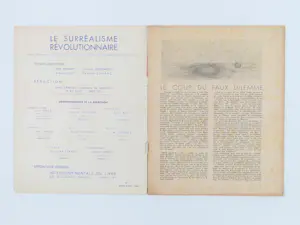 Asger Jorn - Le Surréalisme Révolutionnaire kopen? Bied vanaf 100!