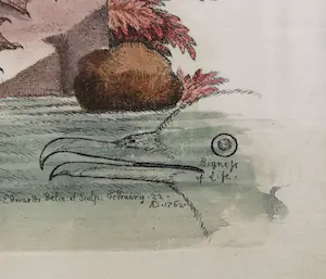 George Edwards - twee Gevogelte prenten kopen? Bied vanaf 19!