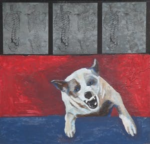 Jan Bollaert - Gemengde techniek op board, Mad dog (Groot) kopen? Bied vanaf 80!