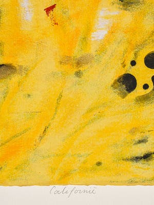 Willem van Scheijndel - Californië kopen? Bied vanaf 70!