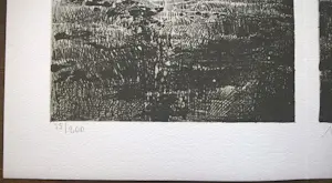 Nicolaas Wijnberg - Petit 2 compleet met gesigneerde litho en boekje Frans de Jong kopen? Bied vanaf 99!