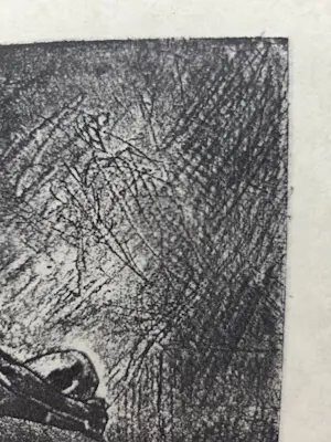 Felicien Rops - Le Beau Paon. 1908. kopen? Bied vanaf 79!