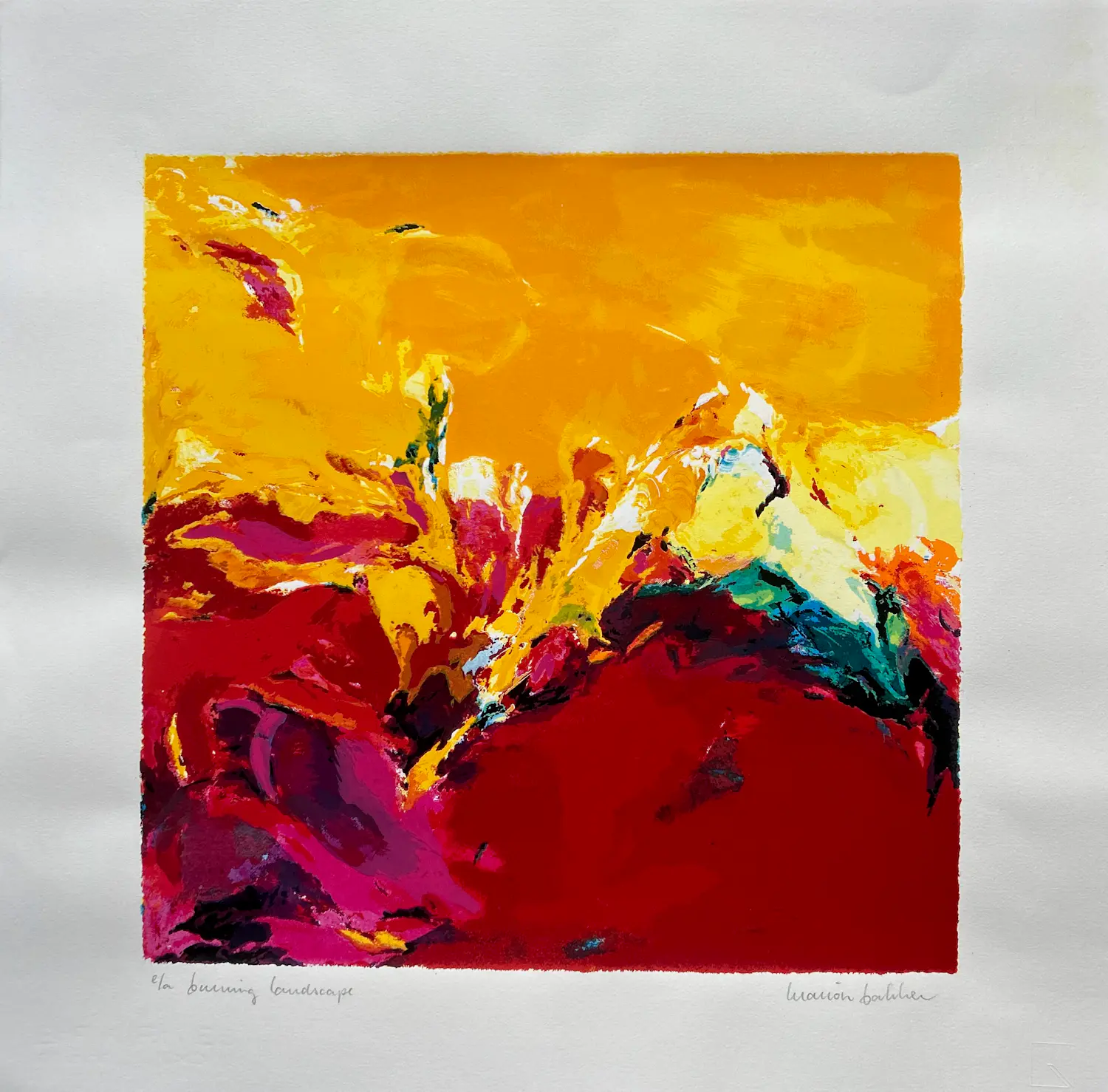 Marion Bakker (1956)