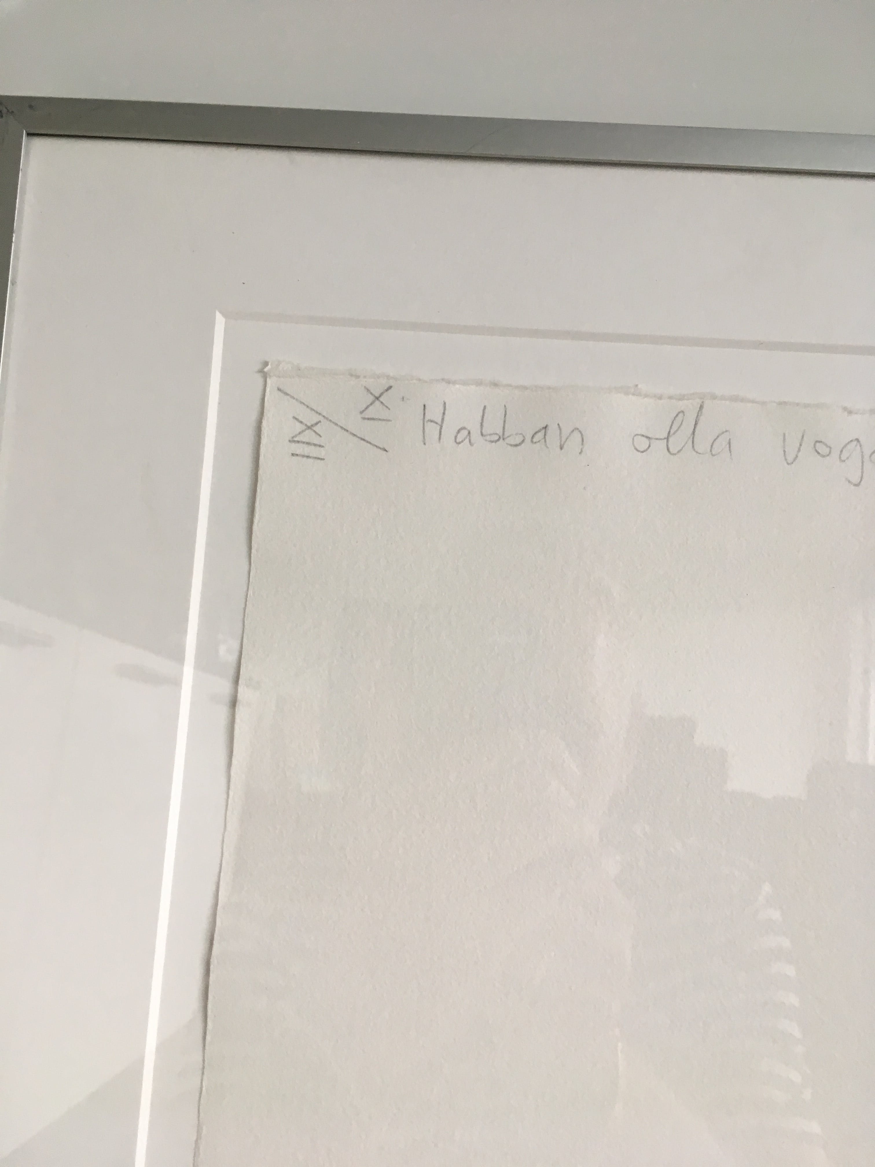 Darja Vos - Zeefdruk ‘ Habban Olla Vogala ‘ ingelijst. kopen? Bied vanaf 50!