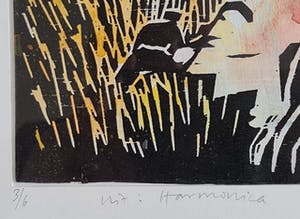 Annemarie Vink - Uit: Harmonica kopen? Bied vanaf 35!