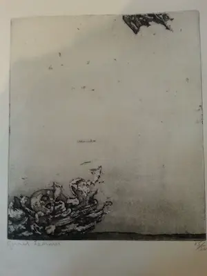 Gerrit Kouwenaar - " Zonder Kleuren "...... kopen? Bied vanaf 10!