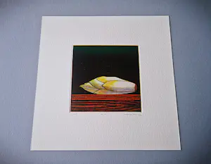 Joop Vegter - Mooie kleine mezzotint "witlof" - beperkte oplage - potloodgesigneerd kopen? Bied vanaf 75!