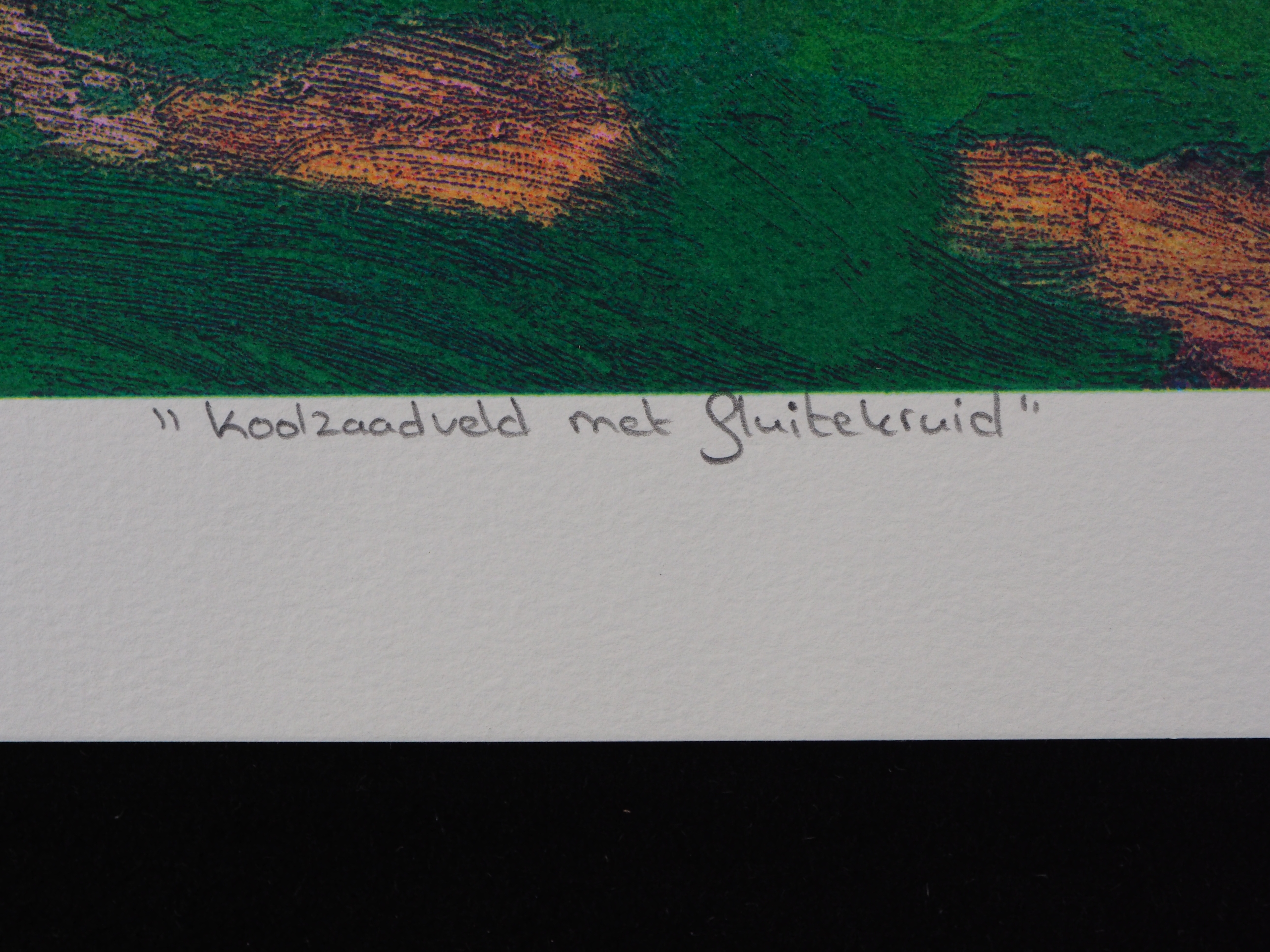 Jentsje Popma - Koolzaadveld met fluitekruid kopen? Bied vanaf 70!