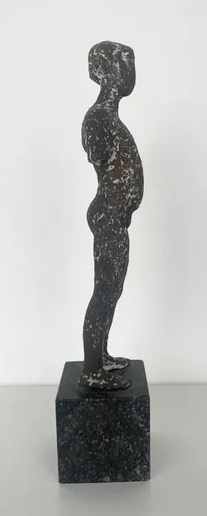 Paul de Swaaf - Brons, Staand figuur + boek! kopen? Bied vanaf 300!