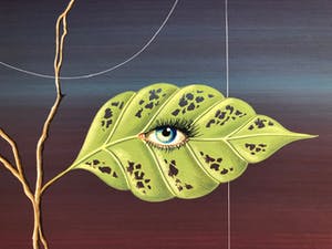 Louis Wattiez - "The Eye is Watching" kopen? Bied vanaf 75!