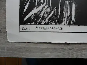 Hannes Postma - Litho, Kleine oplage (75 stuks) "code: Parthenogenese" kopen? Bied vanaf 30!