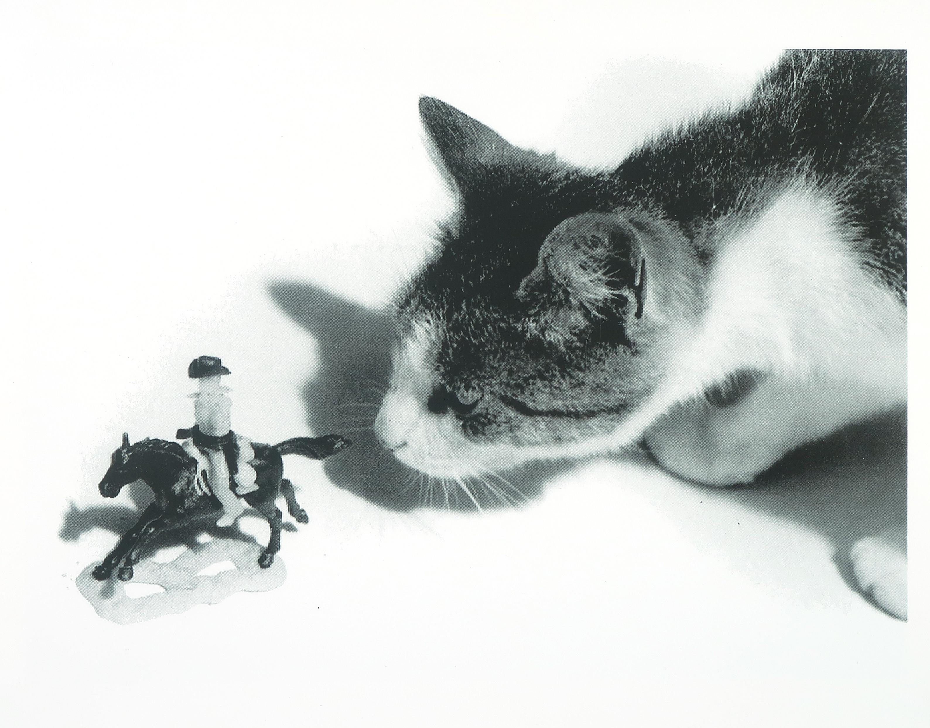 Hester Oerlemans - Zeefdruk, Zonder titel - Ingelijst kopen? Bied vanaf 1!