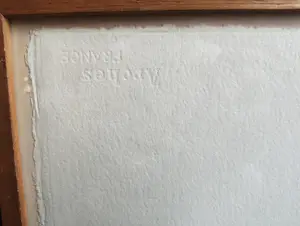 Joost van Roojen - Vlieger kopen? Bied vanaf 2500!