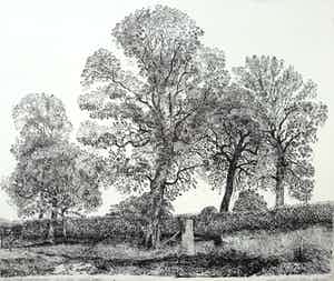 Charles Donker - Waterput bij hoge bomen, ets verkocht voor € 350!