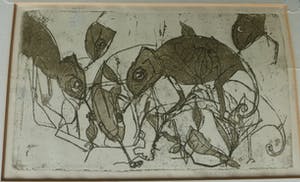 Willie van Haard - Kameleonnen kopen? Bied vanaf 7!