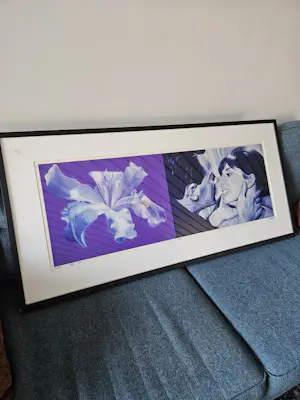 Jan Bollaert - C-print, Oh 3 Purple kopen? Bied vanaf 45!