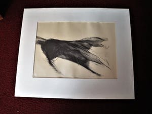 Dick Goudriaan - Groot en Krachtig Houtskool op papier "Wilde Hond" gesigneerd kopen? Bied vanaf 1!