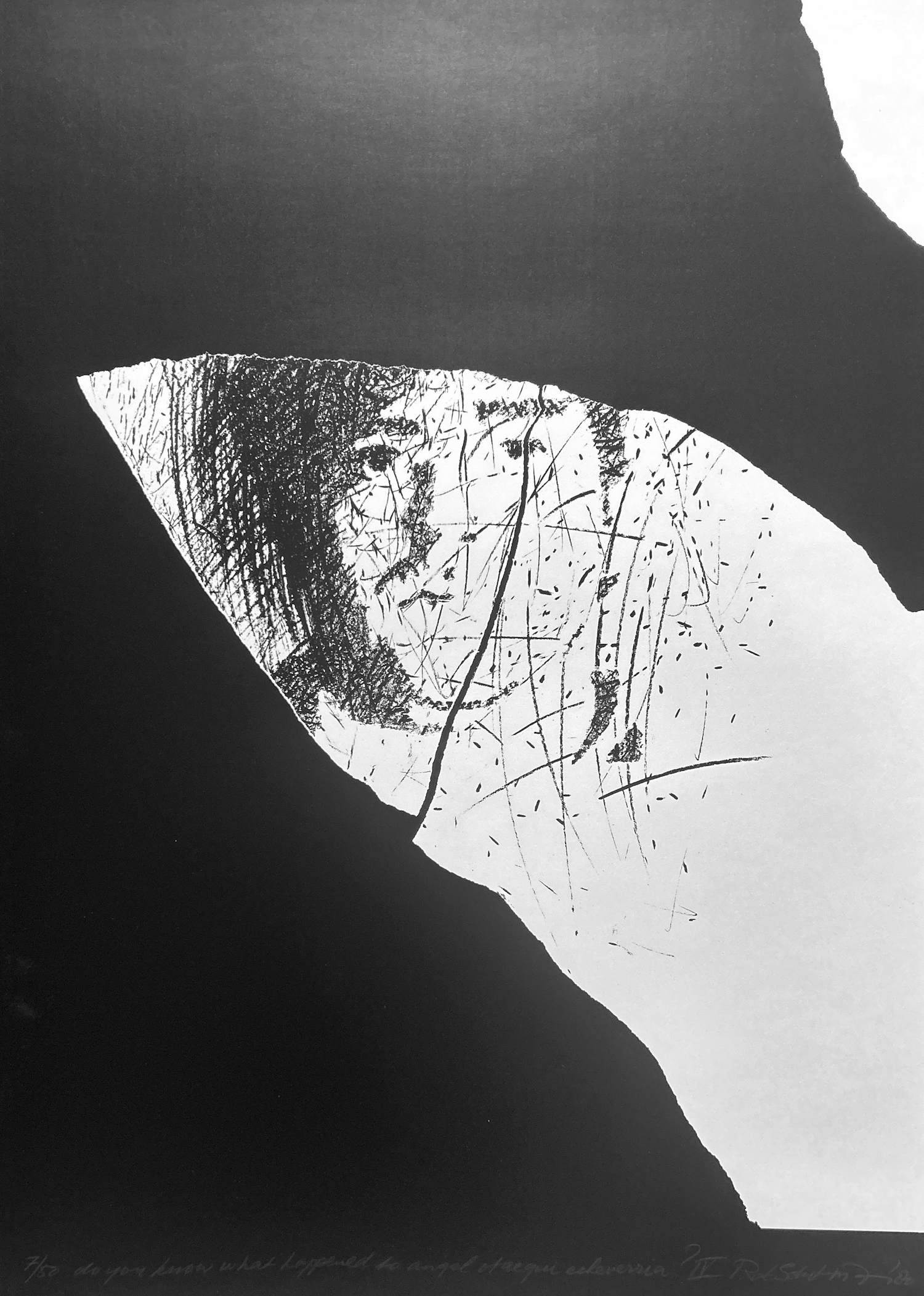 Rob Schotman - Uit de serie Do you know what happened? kopen? Bied vanaf 25!