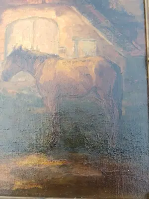 Fedor van Kregten - Paard voor verlichte stal kopen? Bied vanaf 100!