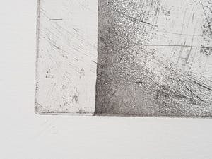 Jan Prins - Prachtige Ets - Gesigneerd in potlood kopen? Bied vanaf 1!