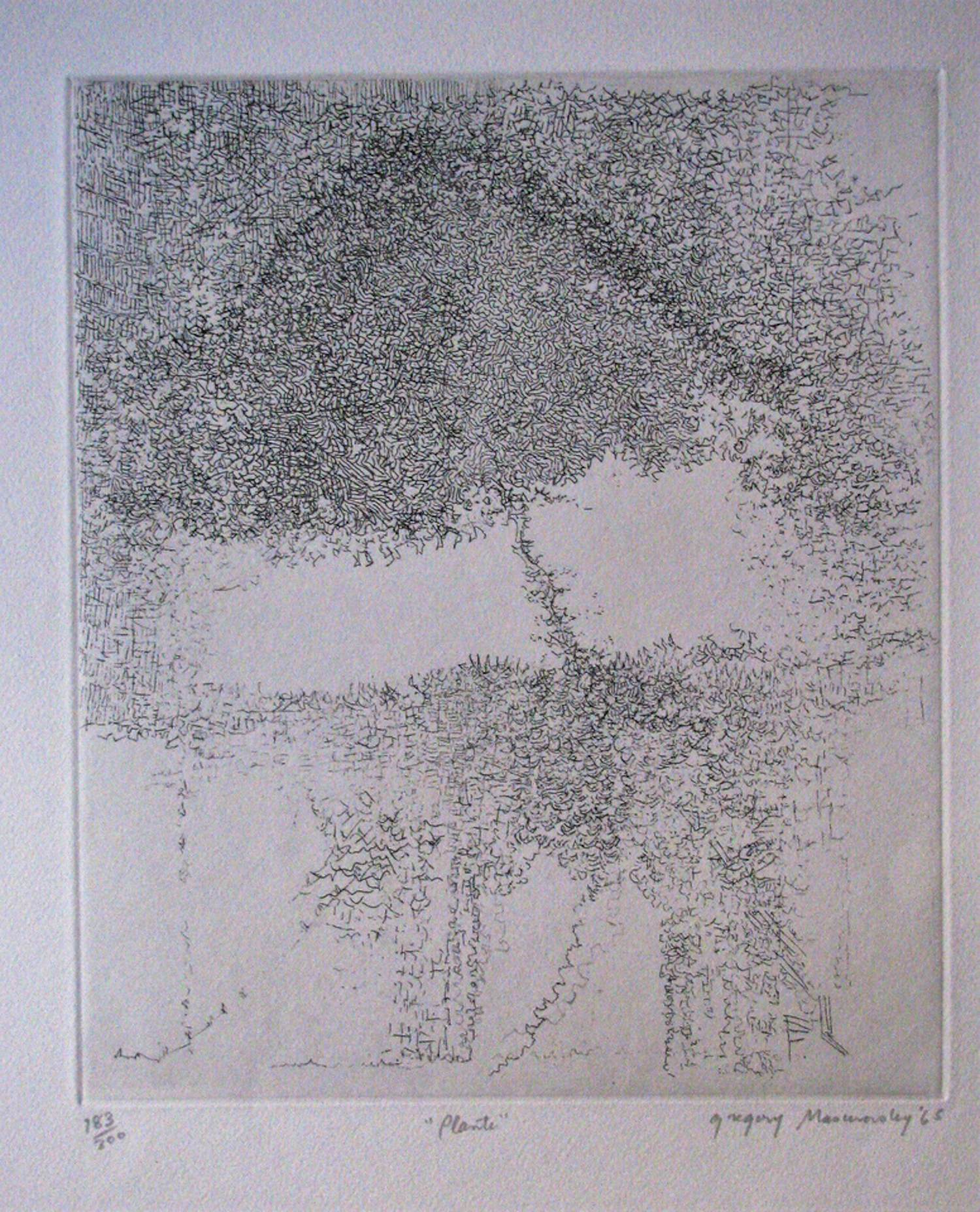 Buy Gregory Masurovsky - " PLANTE " 1965 signiert? Bid from 150!