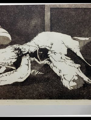 Co van Assema - Droge naald, Stilleven zonder titel. kopen? Bied vanaf 30!