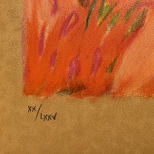 Claudia Steine - Lady in Red I kopen? Bied vanaf 20!