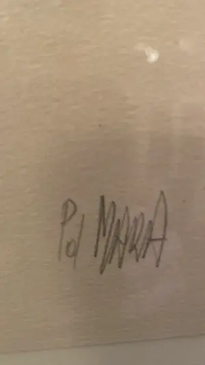 Pol Mara - Onbekend kopen? Bied vanaf 100!