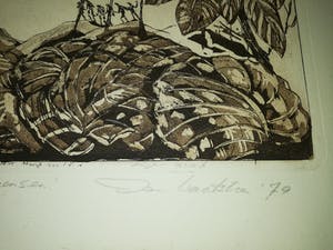 Jan Vaatstra - Verboden voor kleine mensen kopen? Bied vanaf 8!