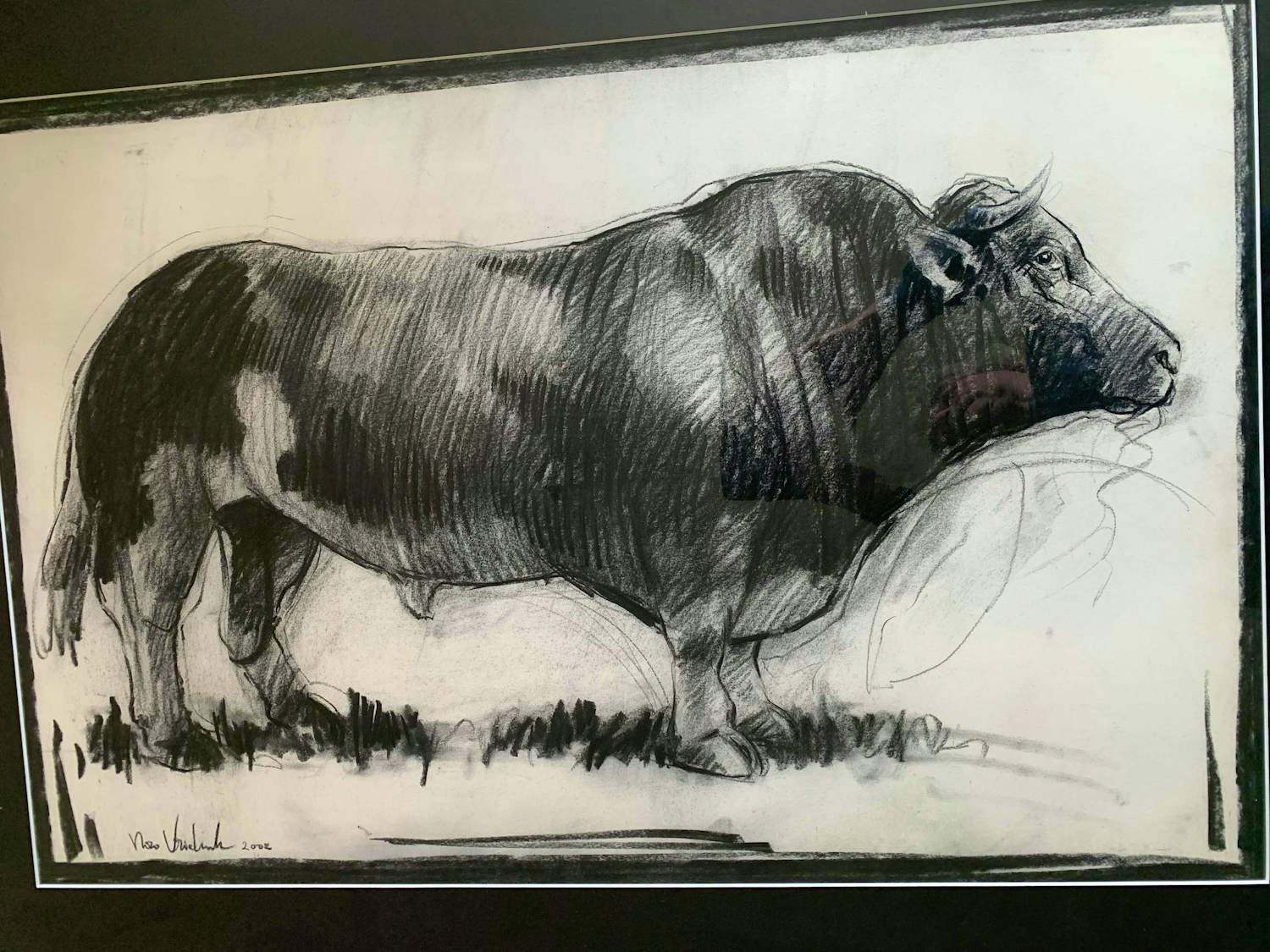 Nico Vrielink - Stier UNICA‼️ kopen? Bied vanaf 299!