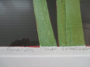 Joost Minnigh - Grote ingelijste litho "Amaryllis met spiegelbeeld" perfect ingelijst kopen? Bied vanaf 80!